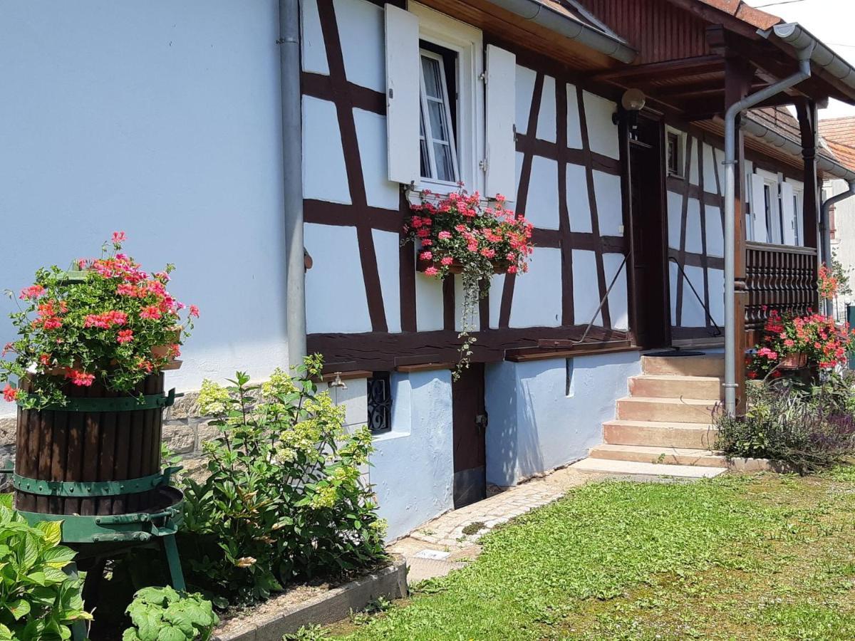 Cosy Holiday Home In Schleithal With Garden Eksteriør bilde