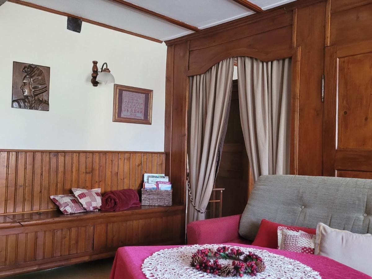 Cosy Holiday Home In Schleithal With Garden Eksteriør bilde